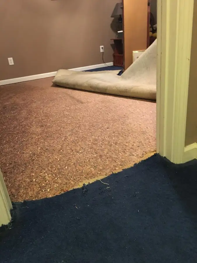 Carpet pad removal revealing water damage during Drying & Dehumidification in Winter Haven
